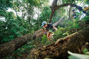 BIB: 
                            <button type="button" onclick="openModal(22777960)" class="btn btn-primary btn-sm float-right btn-popup" data-toggle="modal" data-target=".modal-high-quality">
                        <i class="fas fa-shopping-cart"></i> Add to Cart
                    </button>
                                            <button type="button" onclick="isThisMe(22777960, true)" class="btn btn-success btn-sm float-right btn-popup btn-isme hidden" data-toggle="tooltip" data-placement="bottom" title="นี่คือรูปของคุณใช่ไหม คลิกที่นี่เพื่อเอาเข้าอัลบั้ม">
                        <i class="fas fa-plus"></i> Add to album
                    </button>
                    <button type="button" onclick="isThisMe(22777960, false)" class="btn btn-warning btn-sm float-right btn-popup btn-isnotme hidden">
                        <i class="fas fa-ban"></i> Remove from album
                    </button>