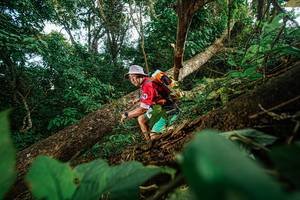 BIB: 
                            <button type="button" onclick="openModal(22777248)" class="btn btn-primary btn-sm float-right btn-popup" data-toggle="modal" data-target=".modal-high-quality">
                        <i class="fas fa-shopping-cart"></i> Add to Cart
                    </button>
                                            <button type="button" onclick="isThisMe(22777248, true)" class="btn btn-success btn-sm float-right btn-popup btn-isme hidden" data-toggle="tooltip" data-placement="bottom" title="นี่คือรูปของคุณใช่ไหม คลิกที่นี่เพื่อเอาเข้าอัลบั้ม">
                        <i class="fas fa-plus"></i> Add to album
                    </button>
                    <button type="button" onclick="isThisMe(22777248, false)" class="btn btn-warning btn-sm float-right btn-popup btn-isnotme hidden">
                        <i class="fas fa-ban"></i> Remove from album
                    </button>