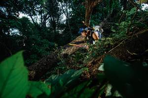 BIB: 
                            <button type="button" onclick="openModal(22775318)" class="btn btn-primary btn-sm float-right btn-popup" data-toggle="modal" data-target=".modal-high-quality">
                        <i class="fas fa-shopping-cart"></i> Add to Cart
                    </button>
                                            <button type="button" onclick="isThisMe(22775318, true)" class="btn btn-success btn-sm float-right btn-popup btn-isme hidden" data-toggle="tooltip" data-placement="bottom" title="นี่คือรูปของคุณใช่ไหม คลิกที่นี่เพื่อเอาเข้าอัลบั้ม">
                        <i class="fas fa-plus"></i> Add to album
                    </button>
                    <button type="button" onclick="isThisMe(22775318, false)" class="btn btn-warning btn-sm float-right btn-popup btn-isnotme hidden">
                        <i class="fas fa-ban"></i> Remove from album
                    </button>