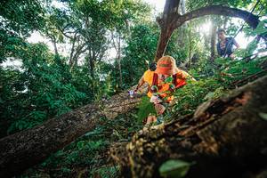 BIB: 
                            <button type="button" onclick="openModal(22777799)" class="btn btn-primary btn-sm float-right btn-popup" data-toggle="modal" data-target=".modal-high-quality">
                        <i class="fas fa-shopping-cart"></i> Add to Cart
                    </button>
                                            <button type="button" onclick="isThisMe(22777799, true)" class="btn btn-success btn-sm float-right btn-popup btn-isme hidden" data-toggle="tooltip" data-placement="bottom" title="นี่คือรูปของคุณใช่ไหม คลิกที่นี่เพื่อเอาเข้าอัลบั้ม">
                        <i class="fas fa-plus"></i> Add to album
                    </button>
                    <button type="button" onclick="isThisMe(22777799, false)" class="btn btn-warning btn-sm float-right btn-popup btn-isnotme hidden">
                        <i class="fas fa-ban"></i> Remove from album
                    </button>