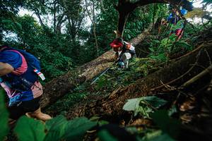 BIB: 
                            <button type="button" onclick="openModal(22777193)" class="btn btn-primary btn-sm float-right btn-popup" data-toggle="modal" data-target=".modal-high-quality">
                        <i class="fas fa-shopping-cart"></i> Add to Cart
                    </button>
                                            <button type="button" onclick="isThisMe(22777193, true)" class="btn btn-success btn-sm float-right btn-popup btn-isme hidden" data-toggle="tooltip" data-placement="bottom" title="นี่คือรูปของคุณใช่ไหม คลิกที่นี่เพื่อเอาเข้าอัลบั้ม">
                        <i class="fas fa-plus"></i> Add to album
                    </button>
                    <button type="button" onclick="isThisMe(22777193, false)" class="btn btn-warning btn-sm float-right btn-popup btn-isnotme hidden">
                        <i class="fas fa-ban"></i> Remove from album
                    </button>