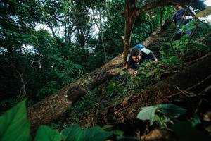 BIB: 
                            <button type="button" onclick="openModal(22777099)" class="btn btn-primary btn-sm float-right btn-popup" data-toggle="modal" data-target=".modal-high-quality">
                        <i class="fas fa-shopping-cart"></i> Add to Cart
                    </button>
                                            <button type="button" onclick="isThisMe(22777099, true)" class="btn btn-success btn-sm float-right btn-popup btn-isme hidden" data-toggle="tooltip" data-placement="bottom" title="นี่คือรูปของคุณใช่ไหม คลิกที่นี่เพื่อเอาเข้าอัลบั้ม">
                        <i class="fas fa-plus"></i> Add to album
                    </button>
                    <button type="button" onclick="isThisMe(22777099, false)" class="btn btn-warning btn-sm float-right btn-popup btn-isnotme hidden">
                        <i class="fas fa-ban"></i> Remove from album
                    </button>