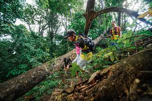 BIB: 
                            <button type="button" onclick="openModal(22778325)" class="btn btn-primary btn-sm float-right btn-popup" data-toggle="modal" data-target=".modal-high-quality">
                        <i class="fas fa-shopping-cart"></i> Add to Cart
                    </button>
                                            <button type="button" onclick="isThisMe(22778325, true)" class="btn btn-success btn-sm float-right btn-popup btn-isme hidden" data-toggle="tooltip" data-placement="bottom" title="นี่คือรูปของคุณใช่ไหม คลิกที่นี่เพื่อเอาเข้าอัลบั้ม">
                        <i class="fas fa-plus"></i> Add to album
                    </button>
                    <button type="button" onclick="isThisMe(22778325, false)" class="btn btn-warning btn-sm float-right btn-popup btn-isnotme hidden">
                        <i class="fas fa-ban"></i> Remove from album
                    </button>