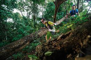 BIB: 
                            <button type="button" onclick="openModal(22778432)" class="btn btn-primary btn-sm float-right btn-popup" data-toggle="modal" data-target=".modal-high-quality">
                        <i class="fas fa-shopping-cart"></i> Add to Cart
                    </button>
                                            <button type="button" onclick="isThisMe(22778432, true)" class="btn btn-success btn-sm float-right btn-popup btn-isme hidden" data-toggle="tooltip" data-placement="bottom" title="นี่คือรูปของคุณใช่ไหม คลิกที่นี่เพื่อเอาเข้าอัลบั้ม">
                        <i class="fas fa-plus"></i> Add to album
                    </button>
                    <button type="button" onclick="isThisMe(22778432, false)" class="btn btn-warning btn-sm float-right btn-popup btn-isnotme hidden">
                        <i class="fas fa-ban"></i> Remove from album
                    </button>