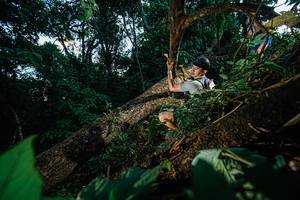 BIB: 
                            <button type="button" onclick="openModal(22775352)" class="btn btn-primary btn-sm float-right btn-popup" data-toggle="modal" data-target=".modal-high-quality">
                        <i class="fas fa-shopping-cart"></i> Add to Cart
                    </button>
                                            <button type="button" onclick="isThisMe(22775352, true)" class="btn btn-success btn-sm float-right btn-popup btn-isme hidden" data-toggle="tooltip" data-placement="bottom" title="นี่คือรูปของคุณใช่ไหม คลิกที่นี่เพื่อเอาเข้าอัลบั้ม">
                        <i class="fas fa-plus"></i> Add to album
                    </button>
                    <button type="button" onclick="isThisMe(22775352, false)" class="btn btn-warning btn-sm float-right btn-popup btn-isnotme hidden">
                        <i class="fas fa-ban"></i> Remove from album
                    </button>