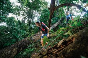 BIB: 
                            <button type="button" onclick="openModal(22778142)" class="btn btn-primary btn-sm float-right btn-popup" data-toggle="modal" data-target=".modal-high-quality">
                        <i class="fas fa-shopping-cart"></i> Add to Cart
                    </button>
                                            <button type="button" onclick="isThisMe(22778142, true)" class="btn btn-success btn-sm float-right btn-popup btn-isme hidden" data-toggle="tooltip" data-placement="bottom" title="นี่คือรูปของคุณใช่ไหม คลิกที่นี่เพื่อเอาเข้าอัลบั้ม">
                        <i class="fas fa-plus"></i> Add to album
                    </button>
                    <button type="button" onclick="isThisMe(22778142, false)" class="btn btn-warning btn-sm float-right btn-popup btn-isnotme hidden">
                        <i class="fas fa-ban"></i> Remove from album
                    </button>