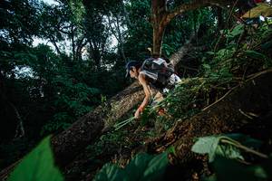 BIB: 
                            <button type="button" onclick="openModal(22775384)" class="btn btn-primary btn-sm float-right btn-popup" data-toggle="modal" data-target=".modal-high-quality">
                        <i class="fas fa-shopping-cart"></i> Add to Cart
                    </button>
                                            <button type="button" onclick="isThisMe(22775384, true)" class="btn btn-success btn-sm float-right btn-popup btn-isme hidden" data-toggle="tooltip" data-placement="bottom" title="นี่คือรูปของคุณใช่ไหม คลิกที่นี่เพื่อเอาเข้าอัลบั้ม">
                        <i class="fas fa-plus"></i> Add to album
                    </button>
                    <button type="button" onclick="isThisMe(22775384, false)" class="btn btn-warning btn-sm float-right btn-popup btn-isnotme hidden">
                        <i class="fas fa-ban"></i> Remove from album
                    </button>