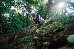 BIB: 
                            <button type="button" onclick="openModal(22777871)" class="btn btn-primary btn-sm float-right btn-popup" data-toggle="modal" data-target=".modal-high-quality">
                        <i class="fas fa-shopping-cart"></i> Add to Cart
                    </button>
                                            <button type="button" onclick="isThisMe(22777871, true)" class="btn btn-success btn-sm float-right btn-popup btn-isme hidden" data-toggle="tooltip" data-placement="bottom" title="นี่คือรูปของคุณใช่ไหม คลิกที่นี่เพื่อเอาเข้าอัลบั้ม">
                        <i class="fas fa-plus"></i> Add to album
                    </button>
                    <button type="button" onclick="isThisMe(22777871, false)" class="btn btn-warning btn-sm float-right btn-popup btn-isnotme hidden">
                        <i class="fas fa-ban"></i> Remove from album
                    </button>