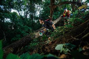 BIB: 
                            <button type="button" onclick="openModal(22777071)" class="btn btn-primary btn-sm float-right btn-popup" data-toggle="modal" data-target=".modal-high-quality">
                        <i class="fas fa-shopping-cart"></i> Add to Cart
                    </button>
                                            <button type="button" onclick="isThisMe(22777071, true)" class="btn btn-success btn-sm float-right btn-popup btn-isme hidden" data-toggle="tooltip" data-placement="bottom" title="นี่คือรูปของคุณใช่ไหม คลิกที่นี่เพื่อเอาเข้าอัลบั้ม">
                        <i class="fas fa-plus"></i> Add to album
                    </button>
                    <button type="button" onclick="isThisMe(22777071, false)" class="btn btn-warning btn-sm float-right btn-popup btn-isnotme hidden">
                        <i class="fas fa-ban"></i> Remove from album
                    </button>