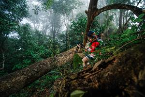 BIB: 
                            <button type="button" onclick="openModal(22778798)" class="btn btn-primary btn-sm float-right btn-popup" data-toggle="modal" data-target=".modal-high-quality">
                        <i class="fas fa-shopping-cart"></i> Add to Cart
                    </button>
                                            <button type="button" onclick="isThisMe(22778798, true)" class="btn btn-success btn-sm float-right btn-popup btn-isme hidden" data-toggle="tooltip" data-placement="bottom" title="นี่คือรูปของคุณใช่ไหม คลิกที่นี่เพื่อเอาเข้าอัลบั้ม">
                        <i class="fas fa-plus"></i> Add to album
                    </button>
                    <button type="button" onclick="isThisMe(22778798, false)" class="btn btn-warning btn-sm float-right btn-popup btn-isnotme hidden">
                        <i class="fas fa-ban"></i> Remove from album
                    </button>