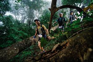 BIB: 1955
                            <button type="button" onclick="openModal(22778716)" class="btn btn-primary btn-sm float-right btn-popup" data-toggle="modal" data-target=".modal-high-quality">
                        <i class="fas fa-shopping-cart"></i> Add to Cart
                    </button>
                                            <button type="button" onclick="isThisMe(22778716, true)" class="btn btn-success btn-sm float-right btn-popup btn-isme hidden" data-toggle="tooltip" data-placement="bottom" title="นี่คือรูปของคุณใช่ไหม คลิกที่นี่เพื่อเอาเข้าอัลบั้ม">
                        <i class="fas fa-plus"></i> Add to album
                    </button>
                    <button type="button" onclick="isThisMe(22778716, false)" class="btn btn-warning btn-sm float-right btn-popup btn-isnotme hidden">
                        <i class="fas fa-ban"></i> Remove from album
                    </button>