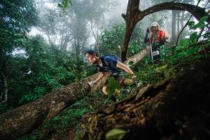 BIB: 
                            <button type="button" onclick="openModal(22778792)" class="btn btn-primary btn-sm float-right btn-popup" data-toggle="modal" data-target=".modal-high-quality">
                        <i class="fas fa-shopping-cart"></i> Add to Cart
                    </button>
                                            <button type="button" onclick="isThisMe(22778792, true)" class="btn btn-success btn-sm float-right btn-popup btn-isme hidden" data-toggle="tooltip" data-placement="bottom" title="นี่คือรูปของคุณใช่ไหม คลิกที่นี่เพื่อเอาเข้าอัลบั้ม">
                        <i class="fas fa-plus"></i> Add to album
                    </button>
                    <button type="button" onclick="isThisMe(22778792, false)" class="btn btn-warning btn-sm float-right btn-popup btn-isnotme hidden">
                        <i class="fas fa-ban"></i> Remove from album
                    </button>