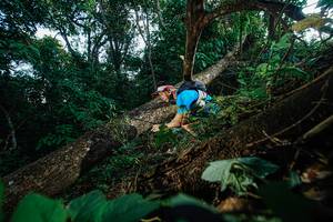 BIB: 
                            <button type="button" onclick="openModal(22777081)" class="btn btn-primary btn-sm float-right btn-popup" data-toggle="modal" data-target=".modal-high-quality">
                        <i class="fas fa-shopping-cart"></i> Add to Cart
                    </button>
                                            <button type="button" onclick="isThisMe(22777081, true)" class="btn btn-success btn-sm float-right btn-popup btn-isme hidden" data-toggle="tooltip" data-placement="bottom" title="นี่คือรูปของคุณใช่ไหม คลิกที่นี่เพื่อเอาเข้าอัลบั้ม">
                        <i class="fas fa-plus"></i> Add to album
                    </button>
                    <button type="button" onclick="isThisMe(22777081, false)" class="btn btn-warning btn-sm float-right btn-popup btn-isnotme hidden">
                        <i class="fas fa-ban"></i> Remove from album
                    </button>