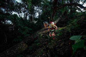 BIB: 
                            <button type="button" onclick="openModal(22775146)" class="btn btn-primary btn-sm float-right btn-popup" data-toggle="modal" data-target=".modal-high-quality">
                        <i class="fas fa-shopping-cart"></i> Add to Cart
                    </button>
                                            <button type="button" onclick="isThisMe(22775146, true)" class="btn btn-success btn-sm float-right btn-popup btn-isme hidden" data-toggle="tooltip" data-placement="bottom" title="นี่คือรูปของคุณใช่ไหม คลิกที่นี่เพื่อเอาเข้าอัลบั้ม">
                        <i class="fas fa-plus"></i> Add to album
                    </button>
                    <button type="button" onclick="isThisMe(22775146, false)" class="btn btn-warning btn-sm float-right btn-popup btn-isnotme hidden">
                        <i class="fas fa-ban"></i> Remove from album
                    </button>