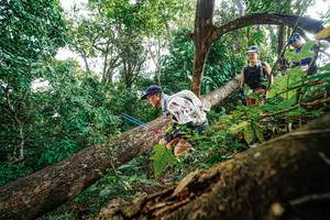 BIB: 
                            <button type="button" onclick="openModal(22778600)" class="btn btn-primary btn-sm float-right btn-popup" data-toggle="modal" data-target=".modal-high-quality">
                        <i class="fas fa-shopping-cart"></i> Add to Cart
                    </button>
                                            <button type="button" onclick="isThisMe(22778600, true)" class="btn btn-success btn-sm float-right btn-popup btn-isme hidden" data-toggle="tooltip" data-placement="bottom" title="นี่คือรูปของคุณใช่ไหม คลิกที่นี่เพื่อเอาเข้าอัลบั้ม">
                        <i class="fas fa-plus"></i> Add to album
                    </button>
                    <button type="button" onclick="isThisMe(22778600, false)" class="btn btn-warning btn-sm float-right btn-popup btn-isnotme hidden">
                        <i class="fas fa-ban"></i> Remove from album
                    </button>