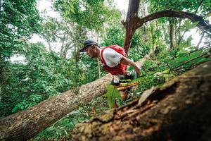 BIB: 
                            <button type="button" onclick="openModal(22779285)" class="btn btn-primary btn-sm float-right btn-popup" data-toggle="modal" data-target=".modal-high-quality">
                        <i class="fas fa-shopping-cart"></i> Add to Cart
                    </button>
                                            <button type="button" onclick="isThisMe(22779285, true)" class="btn btn-success btn-sm float-right btn-popup btn-isme hidden" data-toggle="tooltip" data-placement="bottom" title="นี่คือรูปของคุณใช่ไหม คลิกที่นี่เพื่อเอาเข้าอัลบั้ม">
                        <i class="fas fa-plus"></i> Add to album
                    </button>
                    <button type="button" onclick="isThisMe(22779285, false)" class="btn btn-warning btn-sm float-right btn-popup btn-isnotme hidden">
                        <i class="fas fa-ban"></i> Remove from album
                    </button>