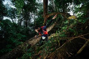 BIB: 661
                            <button type="button" onclick="openModal(22775710)" class="btn btn-primary btn-sm float-right btn-popup" data-toggle="modal" data-target=".modal-high-quality">
                        <i class="fas fa-shopping-cart"></i> Add to Cart
                    </button>
                                            <button type="button" onclick="isThisMe(22775710, true)" class="btn btn-success btn-sm float-right btn-popup btn-isme hidden" data-toggle="tooltip" data-placement="bottom" title="นี่คือรูปของคุณใช่ไหม คลิกที่นี่เพื่อเอาเข้าอัลบั้ม">
                        <i class="fas fa-plus"></i> Add to album
                    </button>
                    <button type="button" onclick="isThisMe(22775710, false)" class="btn btn-warning btn-sm float-right btn-popup btn-isnotme hidden">
                        <i class="fas fa-ban"></i> Remove from album
                    </button>