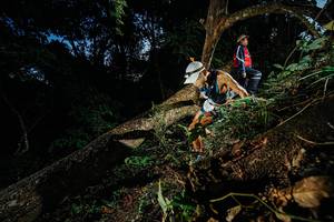 BIB: 
                            <button type="button" onclick="openModal(22774480)" class="btn btn-primary btn-sm float-right btn-popup" data-toggle="modal" data-target=".modal-high-quality">
                        <i class="fas fa-shopping-cart"></i> Add to Cart
                    </button>
                                            <button type="button" onclick="isThisMe(22774480, true)" class="btn btn-success btn-sm float-right btn-popup btn-isme hidden" data-toggle="tooltip" data-placement="bottom" title="นี่คือรูปของคุณใช่ไหม คลิกที่นี่เพื่อเอาเข้าอัลบั้ม">
                        <i class="fas fa-plus"></i> Add to album
                    </button>
                    <button type="button" onclick="isThisMe(22774480, false)" class="btn btn-warning btn-sm float-right btn-popup btn-isnotme hidden">
                        <i class="fas fa-ban"></i> Remove from album
                    </button>