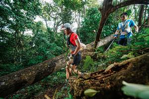 BIB: 
                            <button type="button" onclick="openModal(22777918)" class="btn btn-primary btn-sm float-right btn-popup" data-toggle="modal" data-target=".modal-high-quality">
                        <i class="fas fa-shopping-cart"></i> Add to Cart
                    </button>
                                            <button type="button" onclick="isThisMe(22777918, true)" class="btn btn-success btn-sm float-right btn-popup btn-isme hidden" data-toggle="tooltip" data-placement="bottom" title="นี่คือรูปของคุณใช่ไหม คลิกที่นี่เพื่อเอาเข้าอัลบั้ม">
                        <i class="fas fa-plus"></i> Add to album
                    </button>
                    <button type="button" onclick="isThisMe(22777918, false)" class="btn btn-warning btn-sm float-right btn-popup btn-isnotme hidden">
                        <i class="fas fa-ban"></i> Remove from album
                    </button>