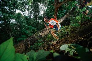 BIB: 
                            <button type="button" onclick="openModal(22776928)" class="btn btn-primary btn-sm float-right btn-popup" data-toggle="modal" data-target=".modal-high-quality">
                        <i class="fas fa-shopping-cart"></i> Add to Cart
                    </button>
                                            <button type="button" onclick="isThisMe(22776928, true)" class="btn btn-success btn-sm float-right btn-popup btn-isme hidden" data-toggle="tooltip" data-placement="bottom" title="นี่คือรูปของคุณใช่ไหม คลิกที่นี่เพื่อเอาเข้าอัลบั้ม">
                        <i class="fas fa-plus"></i> Add to album
                    </button>
                    <button type="button" onclick="isThisMe(22776928, false)" class="btn btn-warning btn-sm float-right btn-popup btn-isnotme hidden">
                        <i class="fas fa-ban"></i> Remove from album
                    </button>