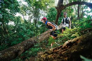 BIB: 
                            <button type="button" onclick="openModal(22778044)" class="btn btn-primary btn-sm float-right btn-popup" data-toggle="modal" data-target=".modal-high-quality">
                        <i class="fas fa-shopping-cart"></i> Add to Cart
                    </button>
                                            <button type="button" onclick="isThisMe(22778044, true)" class="btn btn-success btn-sm float-right btn-popup btn-isme hidden" data-toggle="tooltip" data-placement="bottom" title="นี่คือรูปของคุณใช่ไหม คลิกที่นี่เพื่อเอาเข้าอัลบั้ม">
                        <i class="fas fa-plus"></i> Add to album
                    </button>
                    <button type="button" onclick="isThisMe(22778044, false)" class="btn btn-warning btn-sm float-right btn-popup btn-isnotme hidden">
                        <i class="fas fa-ban"></i> Remove from album
                    </button>