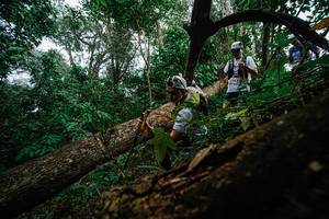 BIB: 
                            <button type="button" onclick="openModal(22779173)" class="btn btn-primary btn-sm float-right btn-popup" data-toggle="modal" data-target=".modal-high-quality">
                        <i class="fas fa-shopping-cart"></i> Add to Cart
                    </button>
                                            <button type="button" onclick="isThisMe(22779173, true)" class="btn btn-success btn-sm float-right btn-popup btn-isme hidden" data-toggle="tooltip" data-placement="bottom" title="นี่คือรูปของคุณใช่ไหม คลิกที่นี่เพื่อเอาเข้าอัลบั้ม">
                        <i class="fas fa-plus"></i> Add to album
                    </button>
                    <button type="button" onclick="isThisMe(22779173, false)" class="btn btn-warning btn-sm float-right btn-popup btn-isnotme hidden">
                        <i class="fas fa-ban"></i> Remove from album
                    </button>