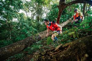 BIB: 1729
                            <button type="button" onclick="openModal(22778459)" class="btn btn-primary btn-sm float-right btn-popup" data-toggle="modal" data-target=".modal-high-quality">
                        <i class="fas fa-shopping-cart"></i> Add to Cart
                    </button>
                                            <button type="button" onclick="isThisMe(22778459, true)" class="btn btn-success btn-sm float-right btn-popup btn-isme hidden" data-toggle="tooltip" data-placement="bottom" title="นี่คือรูปของคุณใช่ไหม คลิกที่นี่เพื่อเอาเข้าอัลบั้ม">
                        <i class="fas fa-plus"></i> Add to album
                    </button>
                    <button type="button" onclick="isThisMe(22778459, false)" class="btn btn-warning btn-sm float-right btn-popup btn-isnotme hidden">
                        <i class="fas fa-ban"></i> Remove from album
                    </button>