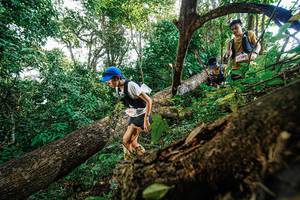 BIB: 
                            <button type="button" onclick="openModal(22778447)" class="btn btn-primary btn-sm float-right btn-popup" data-toggle="modal" data-target=".modal-high-quality">
                        <i class="fas fa-shopping-cart"></i> Add to Cart
                    </button>
                                            <button type="button" onclick="isThisMe(22778447, true)" class="btn btn-success btn-sm float-right btn-popup btn-isme hidden" data-toggle="tooltip" data-placement="bottom" title="นี่คือรูปของคุณใช่ไหม คลิกที่นี่เพื่อเอาเข้าอัลบั้ม">
                        <i class="fas fa-plus"></i> Add to album
                    </button>
                    <button type="button" onclick="isThisMe(22778447, false)" class="btn btn-warning btn-sm float-right btn-popup btn-isnotme hidden">
                        <i class="fas fa-ban"></i> Remove from album
                    </button>