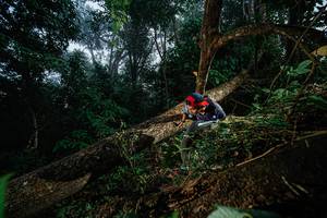 BIB: 
                            <button type="button" onclick="openModal(22776741)" class="btn btn-primary btn-sm float-right btn-popup" data-toggle="modal" data-target=".modal-high-quality">
                        <i class="fas fa-shopping-cart"></i> Add to Cart
                    </button>
                                            <button type="button" onclick="isThisMe(22776741, true)" class="btn btn-success btn-sm float-right btn-popup btn-isme hidden" data-toggle="tooltip" data-placement="bottom" title="นี่คือรูปของคุณใช่ไหม คลิกที่นี่เพื่อเอาเข้าอัลบั้ม">
                        <i class="fas fa-plus"></i> Add to album
                    </button>
                    <button type="button" onclick="isThisMe(22776741, false)" class="btn btn-warning btn-sm float-right btn-popup btn-isnotme hidden">
                        <i class="fas fa-ban"></i> Remove from album
                    </button>