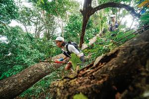 BIB: 
                            <button type="button" onclick="openModal(22779265)" class="btn btn-primary btn-sm float-right btn-popup" data-toggle="modal" data-target=".modal-high-quality">
                        <i class="fas fa-shopping-cart"></i> Add to Cart
                    </button>
                                            <button type="button" onclick="isThisMe(22779265, true)" class="btn btn-success btn-sm float-right btn-popup btn-isme hidden" data-toggle="tooltip" data-placement="bottom" title="นี่คือรูปของคุณใช่ไหม คลิกที่นี่เพื่อเอาเข้าอัลบั้ม">
                        <i class="fas fa-plus"></i> Add to album
                    </button>
                    <button type="button" onclick="isThisMe(22779265, false)" class="btn btn-warning btn-sm float-right btn-popup btn-isnotme hidden">
                        <i class="fas fa-ban"></i> Remove from album
                    </button>