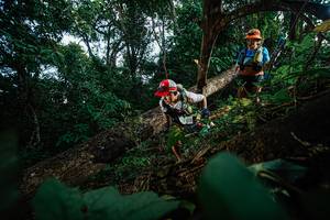 BIB: 5132
                            <button type="button" onclick="openModal(22777364)" class="btn btn-primary btn-sm float-right btn-popup" data-toggle="modal" data-target=".modal-high-quality">
                        <i class="fas fa-shopping-cart"></i> Add to Cart
                    </button>
                                            <button type="button" onclick="isThisMe(22777364, true)" class="btn btn-success btn-sm float-right btn-popup btn-isme hidden" data-toggle="tooltip" data-placement="bottom" title="นี่คือรูปของคุณใช่ไหม คลิกที่นี่เพื่อเอาเข้าอัลบั้ม">
                        <i class="fas fa-plus"></i> Add to album
                    </button>
                    <button type="button" onclick="isThisMe(22777364, false)" class="btn btn-warning btn-sm float-right btn-popup btn-isnotme hidden">
                        <i class="fas fa-ban"></i> Remove from album
                    </button>