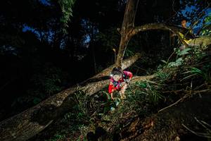 BIB: 
                            <button type="button" onclick="openModal(22774436)" class="btn btn-primary btn-sm float-right btn-popup" data-toggle="modal" data-target=".modal-high-quality">
                        <i class="fas fa-shopping-cart"></i> Add to Cart
                    </button>
                                            <button type="button" onclick="isThisMe(22774436, true)" class="btn btn-success btn-sm float-right btn-popup btn-isme hidden" data-toggle="tooltip" data-placement="bottom" title="นี่คือรูปของคุณใช่ไหม คลิกที่นี่เพื่อเอาเข้าอัลบั้ม">
                        <i class="fas fa-plus"></i> Add to album
                    </button>
                    <button type="button" onclick="isThisMe(22774436, false)" class="btn btn-warning btn-sm float-right btn-popup btn-isnotme hidden">
                        <i class="fas fa-ban"></i> Remove from album
                    </button>