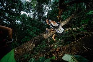 BIB: 
                            <button type="button" onclick="openModal(22775705)" class="btn btn-primary btn-sm float-right btn-popup" data-toggle="modal" data-target=".modal-high-quality">
                        <i class="fas fa-shopping-cart"></i> Add to Cart
                    </button>
                                            <button type="button" onclick="isThisMe(22775705, true)" class="btn btn-success btn-sm float-right btn-popup btn-isme hidden" data-toggle="tooltip" data-placement="bottom" title="นี่คือรูปของคุณใช่ไหม คลิกที่นี่เพื่อเอาเข้าอัลบั้ม">
                        <i class="fas fa-plus"></i> Add to album
                    </button>
                    <button type="button" onclick="isThisMe(22775705, false)" class="btn btn-warning btn-sm float-right btn-popup btn-isnotme hidden">
                        <i class="fas fa-ban"></i> Remove from album
                    </button>