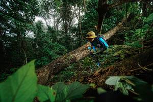 BIB: 
                            <button type="button" onclick="openModal(22776820)" class="btn btn-primary btn-sm float-right btn-popup" data-toggle="modal" data-target=".modal-high-quality">
                        <i class="fas fa-shopping-cart"></i> Add to Cart
                    </button>
                                            <button type="button" onclick="isThisMe(22776820, true)" class="btn btn-success btn-sm float-right btn-popup btn-isme hidden" data-toggle="tooltip" data-placement="bottom" title="นี่คือรูปของคุณใช่ไหม คลิกที่นี่เพื่อเอาเข้าอัลบั้ม">
                        <i class="fas fa-plus"></i> Add to album
                    </button>
                    <button type="button" onclick="isThisMe(22776820, false)" class="btn btn-warning btn-sm float-right btn-popup btn-isnotme hidden">
                        <i class="fas fa-ban"></i> Remove from album
                    </button>