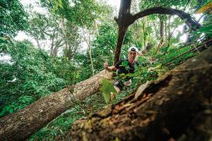 BIB: 
                            <button type="button" onclick="openModal(22779263)" class="btn btn-primary btn-sm float-right btn-popup" data-toggle="modal" data-target=".modal-high-quality">
                        <i class="fas fa-shopping-cart"></i> Add to Cart
                    </button>
                                            <button type="button" onclick="isThisMe(22779263, true)" class="btn btn-success btn-sm float-right btn-popup btn-isme hidden" data-toggle="tooltip" data-placement="bottom" title="นี่คือรูปของคุณใช่ไหม คลิกที่นี่เพื่อเอาเข้าอัลบั้ม">
                        <i class="fas fa-plus"></i> Add to album
                    </button>
                    <button type="button" onclick="isThisMe(22779263, false)" class="btn btn-warning btn-sm float-right btn-popup btn-isnotme hidden">
                        <i class="fas fa-ban"></i> Remove from album
                    </button>