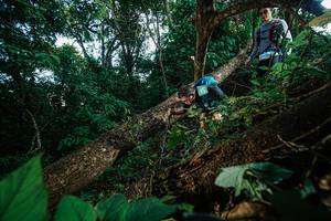 BIB: 
                            <button type="button" onclick="openModal(22777100)" class="btn btn-primary btn-sm float-right btn-popup" data-toggle="modal" data-target=".modal-high-quality">
                        <i class="fas fa-shopping-cart"></i> Add to Cart
                    </button>
                                            <button type="button" onclick="isThisMe(22777100, true)" class="btn btn-success btn-sm float-right btn-popup btn-isme hidden" data-toggle="tooltip" data-placement="bottom" title="นี่คือรูปของคุณใช่ไหม คลิกที่นี่เพื่อเอาเข้าอัลบั้ม">
                        <i class="fas fa-plus"></i> Add to album
                    </button>
                    <button type="button" onclick="isThisMe(22777100, false)" class="btn btn-warning btn-sm float-right btn-popup btn-isnotme hidden">
                        <i class="fas fa-ban"></i> Remove from album
                    </button>