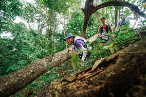 BIB: 
                            <button type="button" onclick="openModal(22779253)" class="btn btn-primary btn-sm float-right btn-popup" data-toggle="modal" data-target=".modal-high-quality">
                        <i class="fas fa-shopping-cart"></i> Add to Cart
                    </button>
                                            <button type="button" onclick="isThisMe(22779253, true)" class="btn btn-success btn-sm float-right btn-popup btn-isme hidden" data-toggle="tooltip" data-placement="bottom" title="นี่คือรูปของคุณใช่ไหม คลิกที่นี่เพื่อเอาเข้าอัลบั้ม">
                        <i class="fas fa-plus"></i> Add to album
                    </button>
                    <button type="button" onclick="isThisMe(22779253, false)" class="btn btn-warning btn-sm float-right btn-popup btn-isnotme hidden">
                        <i class="fas fa-ban"></i> Remove from album
                    </button>