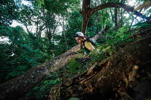 BIB: 
                            <button type="button" onclick="openModal(22778378)" class="btn btn-primary btn-sm float-right btn-popup" data-toggle="modal" data-target=".modal-high-quality">
                        <i class="fas fa-shopping-cart"></i> Add to Cart
                    </button>
                                            <button type="button" onclick="isThisMe(22778378, true)" class="btn btn-success btn-sm float-right btn-popup btn-isme hidden" data-toggle="tooltip" data-placement="bottom" title="นี่คือรูปของคุณใช่ไหม คลิกที่นี่เพื่อเอาเข้าอัลบั้ม">
                        <i class="fas fa-plus"></i> Add to album
                    </button>
                    <button type="button" onclick="isThisMe(22778378, false)" class="btn btn-warning btn-sm float-right btn-popup btn-isnotme hidden">
                        <i class="fas fa-ban"></i> Remove from album
                    </button>