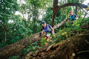 BIB: 
                            <button type="button" onclick="openModal(22778603)" class="btn btn-primary btn-sm float-right btn-popup" data-toggle="modal" data-target=".modal-high-quality">
                        <i class="fas fa-shopping-cart"></i> Add to Cart
                    </button>
                                            <button type="button" onclick="isThisMe(22778603, true)" class="btn btn-success btn-sm float-right btn-popup btn-isme hidden" data-toggle="tooltip" data-placement="bottom" title="นี่คือรูปของคุณใช่ไหม คลิกที่นี่เพื่อเอาเข้าอัลบั้ม">
                        <i class="fas fa-plus"></i> Add to album
                    </button>
                    <button type="button" onclick="isThisMe(22778603, false)" class="btn btn-warning btn-sm float-right btn-popup btn-isnotme hidden">
                        <i class="fas fa-ban"></i> Remove from album
                    </button>