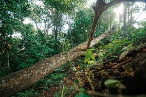 BIB: 
                            <button type="button" onclick="openModal(22777737)" class="btn btn-primary btn-sm float-right btn-popup" data-toggle="modal" data-target=".modal-high-quality">
                        <i class="fas fa-shopping-cart"></i> Add to Cart
                    </button>
                                            <button type="button" onclick="isThisMe(22777737, true)" class="btn btn-success btn-sm float-right btn-popup btn-isme hidden" data-toggle="tooltip" data-placement="bottom" title="นี่คือรูปของคุณใช่ไหม คลิกที่นี่เพื่อเอาเข้าอัลบั้ม">
                        <i class="fas fa-plus"></i> Add to album
                    </button>
                    <button type="button" onclick="isThisMe(22777737, false)" class="btn btn-warning btn-sm float-right btn-popup btn-isnotme hidden">
                        <i class="fas fa-ban"></i> Remove from album
                    </button>