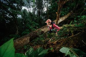 BIB: 
                            <button type="button" onclick="openModal(22776691)" class="btn btn-primary btn-sm float-right btn-popup" data-toggle="modal" data-target=".modal-high-quality">
                        <i class="fas fa-shopping-cart"></i> Add to Cart
                    </button>
                                            <button type="button" onclick="isThisMe(22776691, true)" class="btn btn-success btn-sm float-right btn-popup btn-isme hidden" data-toggle="tooltip" data-placement="bottom" title="นี่คือรูปของคุณใช่ไหม คลิกที่นี่เพื่อเอาเข้าอัลบั้ม">
                        <i class="fas fa-plus"></i> Add to album
                    </button>
                    <button type="button" onclick="isThisMe(22776691, false)" class="btn btn-warning btn-sm float-right btn-popup btn-isnotme hidden">
                        <i class="fas fa-ban"></i> Remove from album
                    </button>