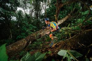 BIB: 
                            <button type="button" onclick="openModal(22775763)" class="btn btn-primary btn-sm float-right btn-popup" data-toggle="modal" data-target=".modal-high-quality">
                        <i class="fas fa-shopping-cart"></i> Add to Cart
                    </button>
                                            <button type="button" onclick="isThisMe(22775763, true)" class="btn btn-success btn-sm float-right btn-popup btn-isme hidden" data-toggle="tooltip" data-placement="bottom" title="นี่คือรูปของคุณใช่ไหม คลิกที่นี่เพื่อเอาเข้าอัลบั้ม">
                        <i class="fas fa-plus"></i> Add to album
                    </button>
                    <button type="button" onclick="isThisMe(22775763, false)" class="btn btn-warning btn-sm float-right btn-popup btn-isnotme hidden">
                        <i class="fas fa-ban"></i> Remove from album
                    </button>