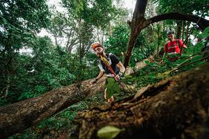 BIB: 
                            <button type="button" onclick="openModal(22778937)" class="btn btn-primary btn-sm float-right btn-popup" data-toggle="modal" data-target=".modal-high-quality">
                        <i class="fas fa-shopping-cart"></i> Add to Cart
                    </button>
                                            <button type="button" onclick="isThisMe(22778937, true)" class="btn btn-success btn-sm float-right btn-popup btn-isme hidden" data-toggle="tooltip" data-placement="bottom" title="นี่คือรูปของคุณใช่ไหม คลิกที่นี่เพื่อเอาเข้าอัลบั้ม">
                        <i class="fas fa-plus"></i> Add to album
                    </button>
                    <button type="button" onclick="isThisMe(22778937, false)" class="btn btn-warning btn-sm float-right btn-popup btn-isnotme hidden">
                        <i class="fas fa-ban"></i> Remove from album
                    </button>