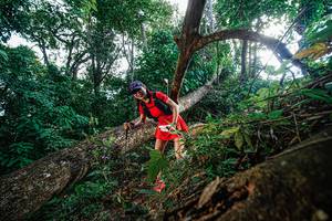 BIB: 
                            <button type="button" onclick="openModal(22778301)" class="btn btn-primary btn-sm float-right btn-popup" data-toggle="modal" data-target=".modal-high-quality">
                        <i class="fas fa-shopping-cart"></i> Add to Cart
                    </button>
                                            <button type="button" onclick="isThisMe(22778301, true)" class="btn btn-success btn-sm float-right btn-popup btn-isme hidden" data-toggle="tooltip" data-placement="bottom" title="นี่คือรูปของคุณใช่ไหม คลิกที่นี่เพื่อเอาเข้าอัลบั้ม">
                        <i class="fas fa-plus"></i> Add to album
                    </button>
                    <button type="button" onclick="isThisMe(22778301, false)" class="btn btn-warning btn-sm float-right btn-popup btn-isnotme hidden">
                        <i class="fas fa-ban"></i> Remove from album
                    </button>