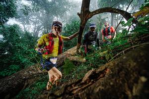 BIB: 5357, 
                            <button type="button" onclick="openModal(22778722)" class="btn btn-primary btn-sm float-right btn-popup" data-toggle="modal" data-target=".modal-high-quality">
                        <i class="fas fa-shopping-cart"></i> Add to Cart
                    </button>
                                            <button type="button" onclick="isThisMe(22778722, true)" class="btn btn-success btn-sm float-right btn-popup btn-isme hidden" data-toggle="tooltip" data-placement="bottom" title="นี่คือรูปของคุณใช่ไหม คลิกที่นี่เพื่อเอาเข้าอัลบั้ม">
                        <i class="fas fa-plus"></i> Add to album
                    </button>
                    <button type="button" onclick="isThisMe(22778722, false)" class="btn btn-warning btn-sm float-right btn-popup btn-isnotme hidden">
                        <i class="fas fa-ban"></i> Remove from album
                    </button>