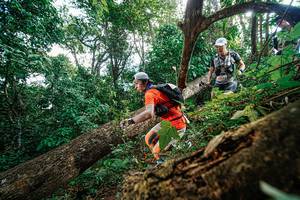 BIB: 363
                            <button type="button" onclick="openModal(22778011)" class="btn btn-primary btn-sm float-right btn-popup" data-toggle="modal" data-target=".modal-high-quality">
                        <i class="fas fa-shopping-cart"></i> Add to Cart
                    </button>
                                            <button type="button" onclick="isThisMe(22778011, true)" class="btn btn-success btn-sm float-right btn-popup btn-isme hidden" data-toggle="tooltip" data-placement="bottom" title="นี่คือรูปของคุณใช่ไหม คลิกที่นี่เพื่อเอาเข้าอัลบั้ม">
                        <i class="fas fa-plus"></i> Add to album
                    </button>
                    <button type="button" onclick="isThisMe(22778011, false)" class="btn btn-warning btn-sm float-right btn-popup btn-isnotme hidden">
                        <i class="fas fa-ban"></i> Remove from album
                    </button>