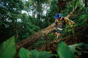 BIB: 
                            <button type="button" onclick="openModal(22777395)" class="btn btn-primary btn-sm float-right btn-popup" data-toggle="modal" data-target=".modal-high-quality">
                        <i class="fas fa-shopping-cart"></i> Add to Cart
                    </button>
                                            <button type="button" onclick="isThisMe(22777395, true)" class="btn btn-success btn-sm float-right btn-popup btn-isme hidden" data-toggle="tooltip" data-placement="bottom" title="นี่คือรูปของคุณใช่ไหม คลิกที่นี่เพื่อเอาเข้าอัลบั้ม">
                        <i class="fas fa-plus"></i> Add to album
                    </button>
                    <button type="button" onclick="isThisMe(22777395, false)" class="btn btn-warning btn-sm float-right btn-popup btn-isnotme hidden">
                        <i class="fas fa-ban"></i> Remove from album
                    </button>