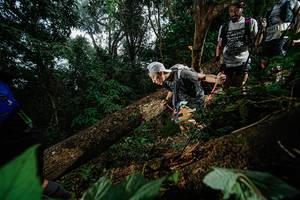 BIB: 
                            <button type="button" onclick="openModal(22776705)" class="btn btn-primary btn-sm float-right btn-popup" data-toggle="modal" data-target=".modal-high-quality">
                        <i class="fas fa-shopping-cart"></i> Add to Cart
                    </button>
                                            <button type="button" onclick="isThisMe(22776705, true)" class="btn btn-success btn-sm float-right btn-popup btn-isme hidden" data-toggle="tooltip" data-placement="bottom" title="นี่คือรูปของคุณใช่ไหม คลิกที่นี่เพื่อเอาเข้าอัลบั้ม">
                        <i class="fas fa-plus"></i> Add to album
                    </button>
                    <button type="button" onclick="isThisMe(22776705, false)" class="btn btn-warning btn-sm float-right btn-popup btn-isnotme hidden">
                        <i class="fas fa-ban"></i> Remove from album
                    </button>