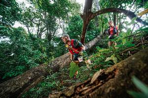 BIB: 226
                            <button type="button" onclick="openModal(22778256)" class="btn btn-primary btn-sm float-right btn-popup" data-toggle="modal" data-target=".modal-high-quality">
                        <i class="fas fa-shopping-cart"></i> Add to Cart
                    </button>
                                            <button type="button" onclick="isThisMe(22778256, true)" class="btn btn-success btn-sm float-right btn-popup btn-isme hidden" data-toggle="tooltip" data-placement="bottom" title="นี่คือรูปของคุณใช่ไหม คลิกที่นี่เพื่อเอาเข้าอัลบั้ม">
                        <i class="fas fa-plus"></i> Add to album
                    </button>
                    <button type="button" onclick="isThisMe(22778256, false)" class="btn btn-warning btn-sm float-right btn-popup btn-isnotme hidden">
                        <i class="fas fa-ban"></i> Remove from album
                    </button>