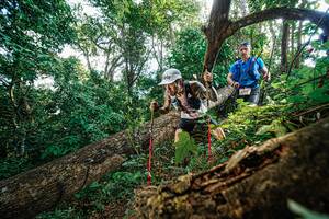 BIB: 321
                            <button type="button" onclick="openModal(22778035)" class="btn btn-primary btn-sm float-right btn-popup" data-toggle="modal" data-target=".modal-high-quality">
                        <i class="fas fa-shopping-cart"></i> Add to Cart
                    </button>
                                            <button type="button" onclick="isThisMe(22778035, true)" class="btn btn-success btn-sm float-right btn-popup btn-isme hidden" data-toggle="tooltip" data-placement="bottom" title="นี่คือรูปของคุณใช่ไหม คลิกที่นี่เพื่อเอาเข้าอัลบั้ม">
                        <i class="fas fa-plus"></i> Add to album
                    </button>
                    <button type="button" onclick="isThisMe(22778035, false)" class="btn btn-warning btn-sm float-right btn-popup btn-isnotme hidden">
                        <i class="fas fa-ban"></i> Remove from album
                    </button>